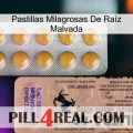 Pastillas Milagrosas De Raíz Malvada 41